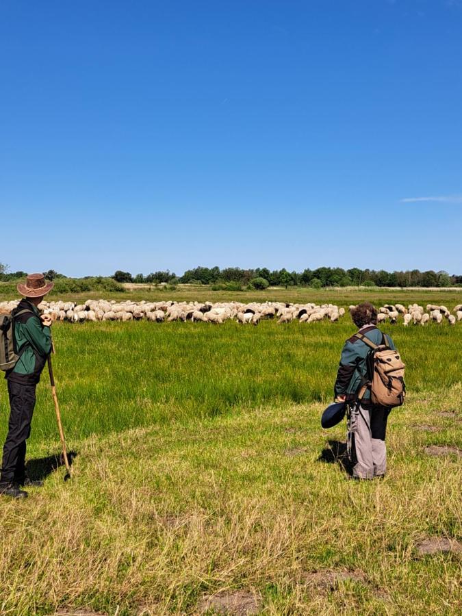 Het Tuffel Huuske Haaksbergen Exterior foto